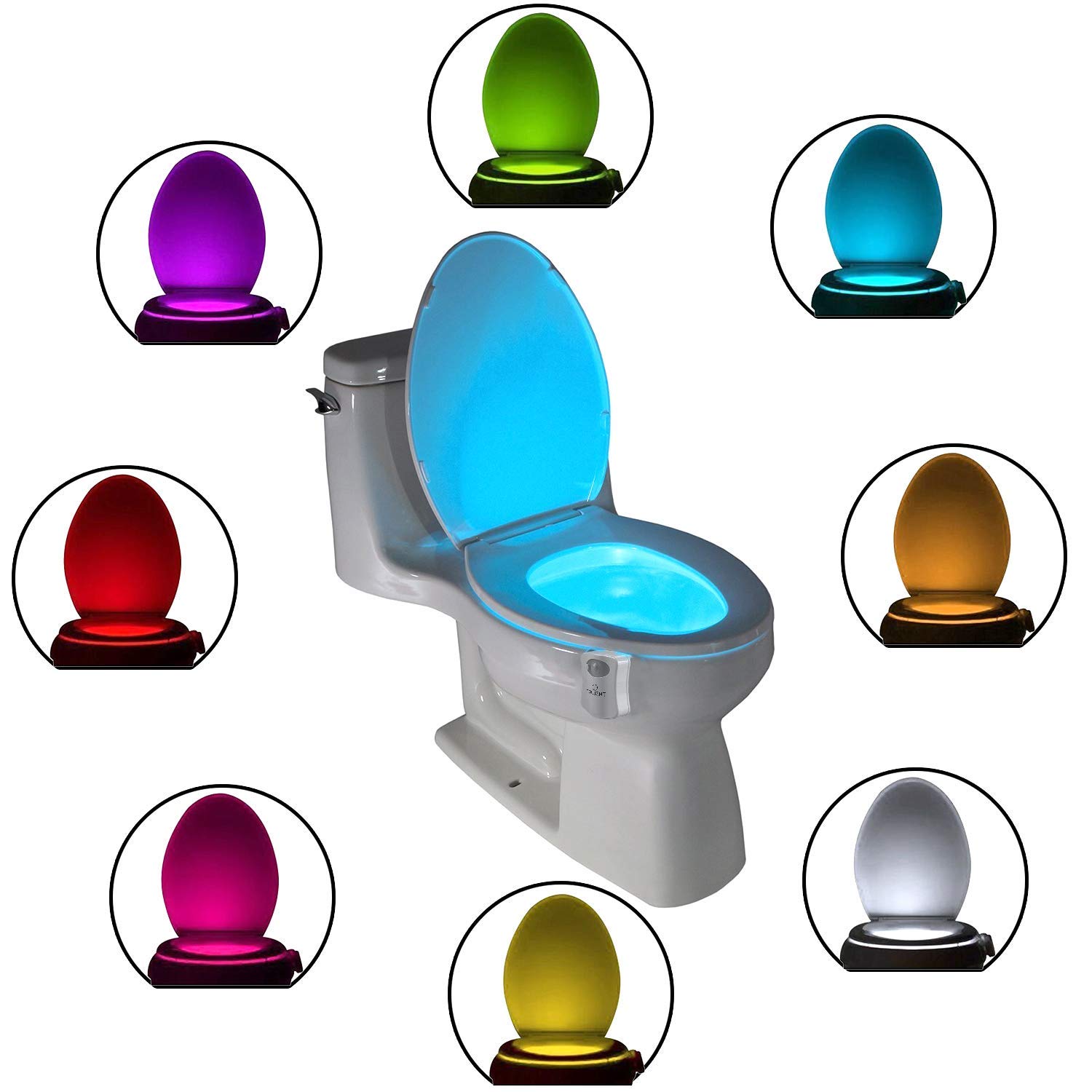 toilight toilet light